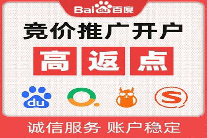 百度竞价排名服务的广告投放技巧与策略